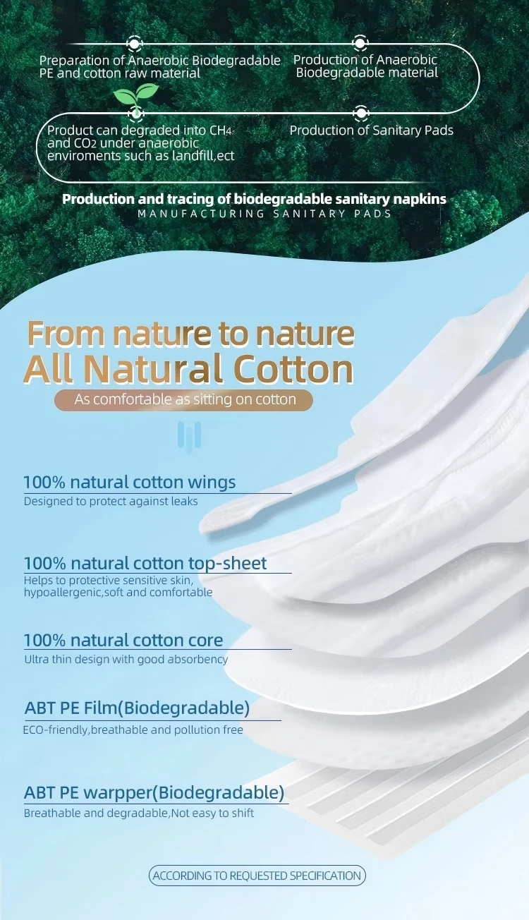 ABT Biodegradable Sanitary Napkin Feature 4(1)